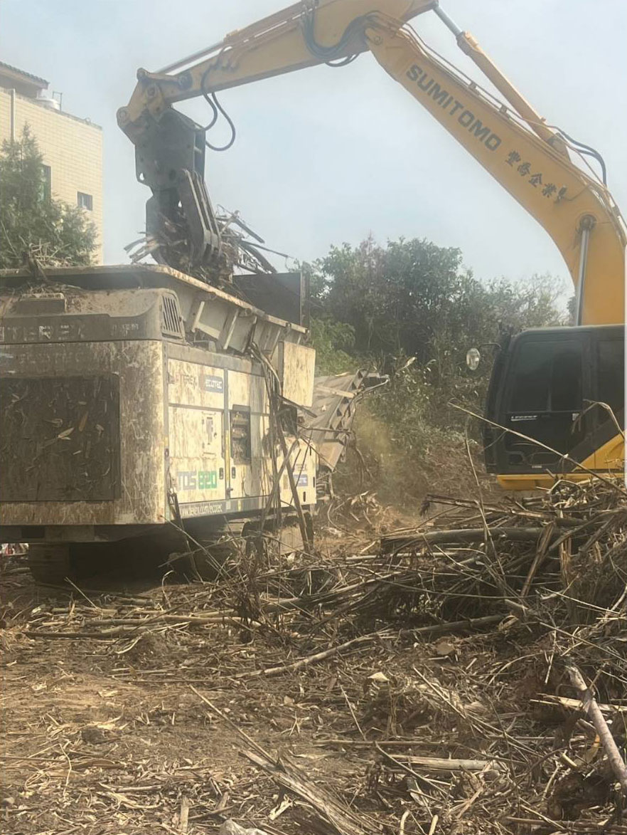 雲林樹枝木破碎